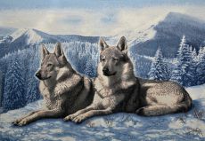 Волки на снегу 55х35