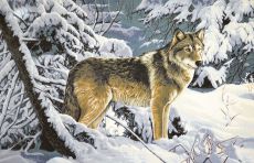 Гобелен Волк в лесу 108х70