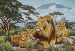 Гобелен Африканские львы 50х76
